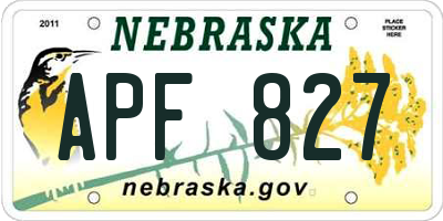 NE license plate APF827
