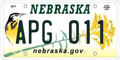NE license plate APG011