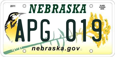 NE license plate APG019