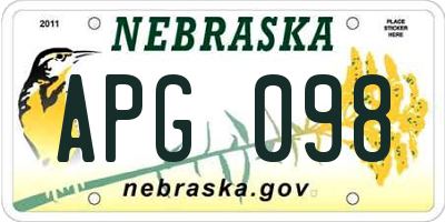 NE license plate APG098