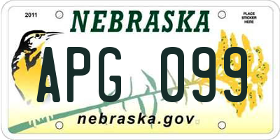 NE license plate APG099