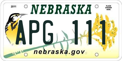 NE license plate APG111