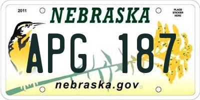 NE license plate APG187