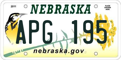 NE license plate APG195
