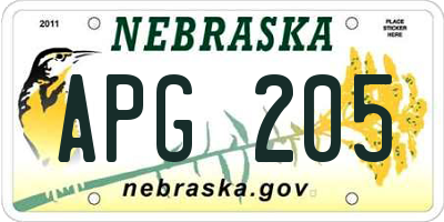 NE license plate APG205