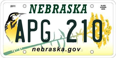NE license plate APG210