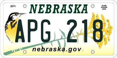 NE license plate APG218