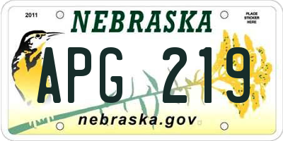 NE license plate APG219