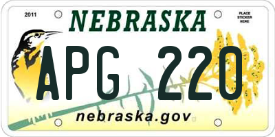 NE license plate APG220