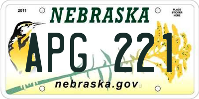 NE license plate APG221