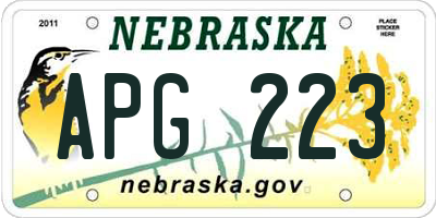 NE license plate APG223