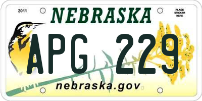 NE license plate APG229