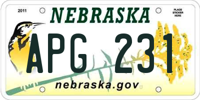 NE license plate APG231