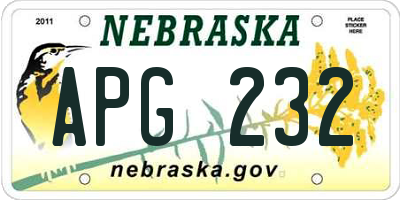 NE license plate APG232