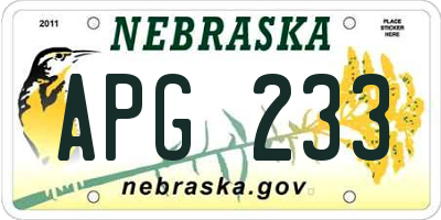 NE license plate APG233