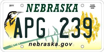 NE license plate APG239