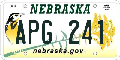 NE license plate APG241
