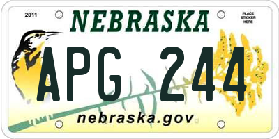 NE license plate APG244