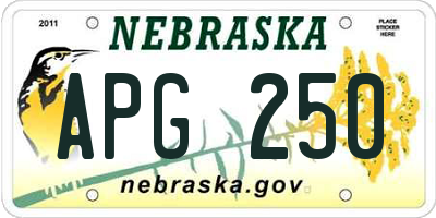 NE license plate APG250