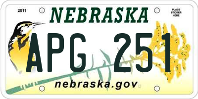 NE license plate APG251