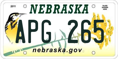 NE license plate APG265