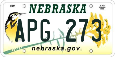 NE license plate APG273