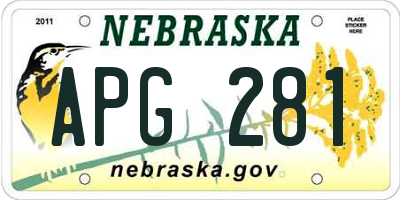 NE license plate APG281