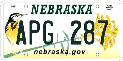 NE license plate APG287