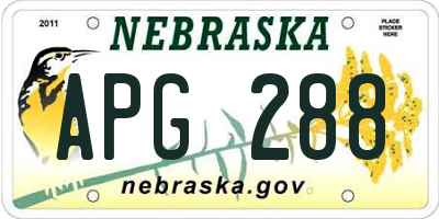 NE license plate APG288