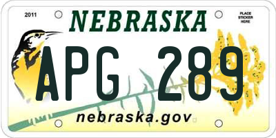 NE license plate APG289