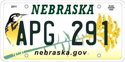NE license plate APG291