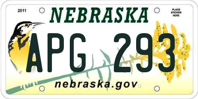 NE license plate APG293