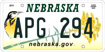 NE license plate APG294