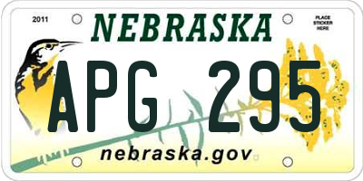 NE license plate APG295