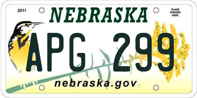 NE license plate APG299