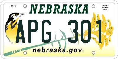 NE license plate APG301