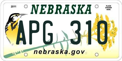 NE license plate APG310