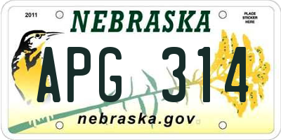 NE license plate APG314