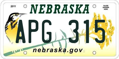 NE license plate APG315