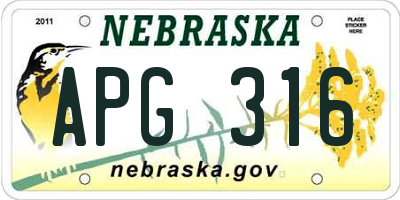 NE license plate APG316