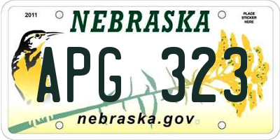 NE license plate APG323