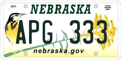 NE license plate APG333