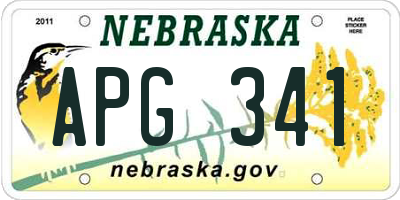 NE license plate APG341
