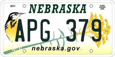 NE license plate APG379