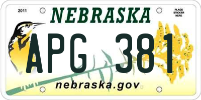 NE license plate APG381