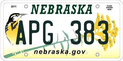 NE license plate APG383