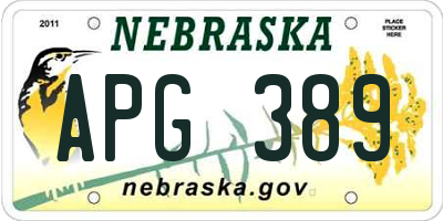 NE license plate APG389