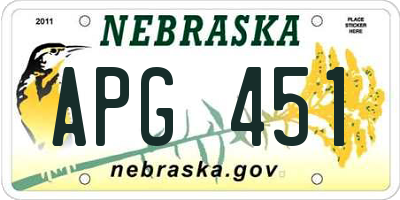 NE license plate APG451