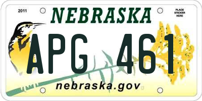 NE license plate APG461
