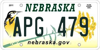 NE license plate APG479
